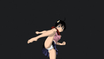 Картинка аниме bakemonogatari shirahama kouta araragi karen nisemonogatari