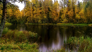 Картинка природа реки озера натура