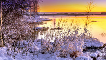 Картинка природа реки озера натура