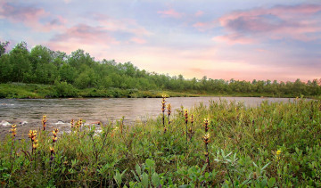 Картинка природа реки озера натура