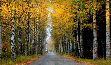 Картинка природа дороги натура