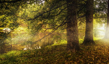 Картинка природа реки озера натура