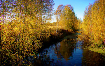 Картинка природа реки озера натура