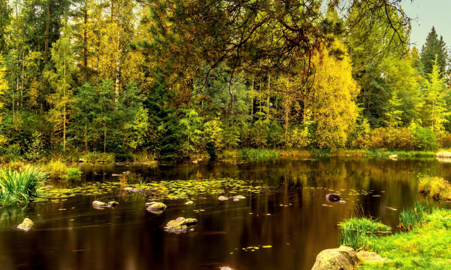 Обои картинки фото природа, реки, озера, натура