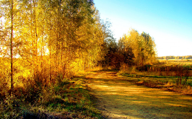 Обои картинки фото природа, дороги, натура