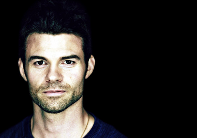 Обои картинки фото daniel gillies, мужчины, небритость