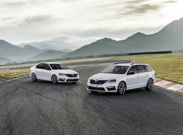 Обои картинки фото автомобили, skoda