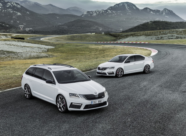 Обои картинки фото автомобили, skoda