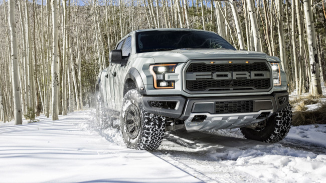 Обои картинки фото ford f-150 raptor 2017, автомобили, ford, 2017, raptor, f-150, внедорожник