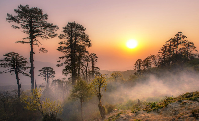 Обои картинки фото дочу-ла,  бутан, природа, восходы, закаты, горы, туман, рассвет, солнце, деревья