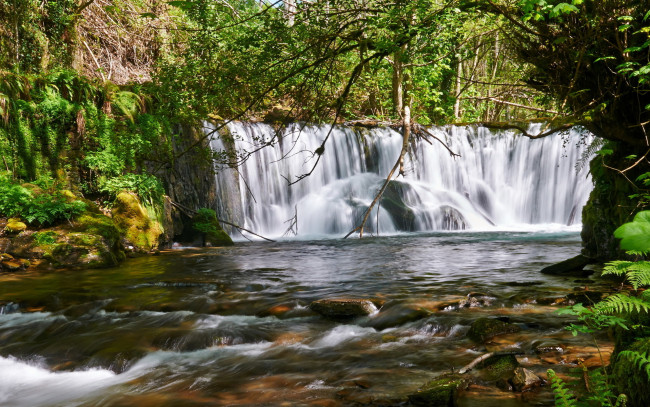 Обои картинки фото природа, водопады, поток, камни, лес
