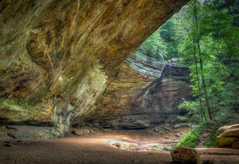 Картинка природа лес простор