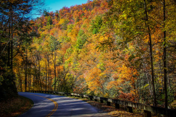 Картинка природа дороги простор