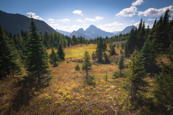 Картинка природа пейзажи простор