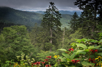 Картинка природа пейзажи простор