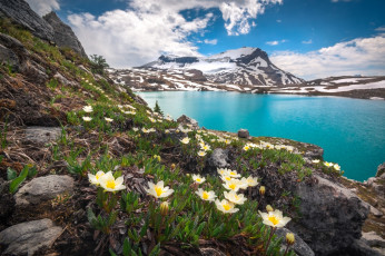 Картинка природа реки озера простор