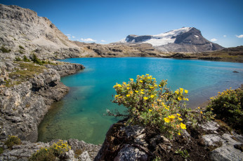 Картинка природа реки озера простор