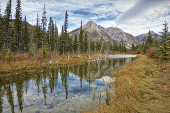 Картинка природа реки озера простор