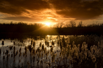 Картинка природа восходы закаты простор