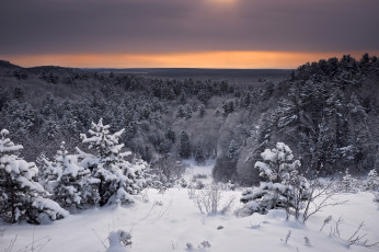 Картинка природа зима простор