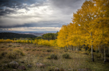 Картинка природа пейзажи простор