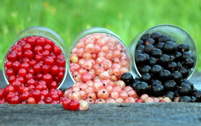 Обои картинки фото еда, смородина, ягоды, ассорти