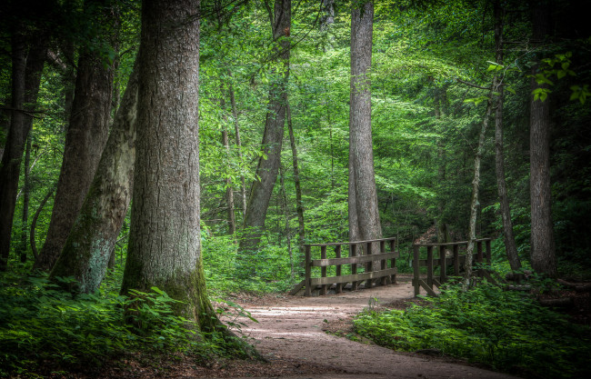 Обои картинки фото природа, дороги, простор