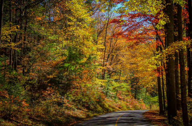 Обои картинки фото природа, дороги, простор