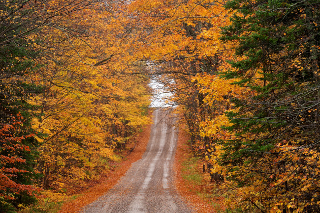 Обои картинки фото природа, дороги, простор