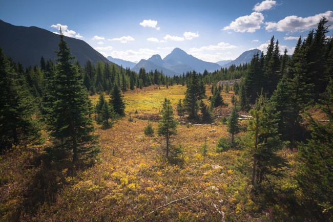 Обои картинки фото природа, пейзажи, простор