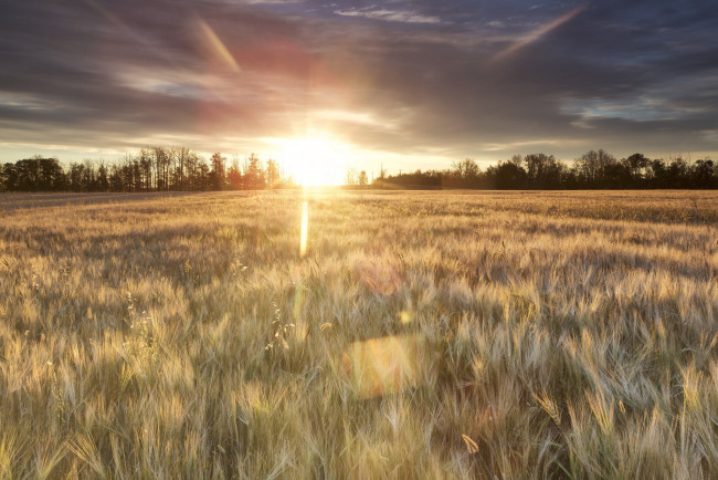 Обои картинки фото природа, восходы, закаты, простор