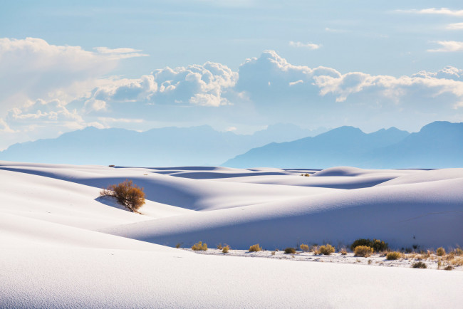 Обои картинки фото white sands new mexico, природа, пустыни, пустыня, new, sands, white, mexico, песок, пейзаж