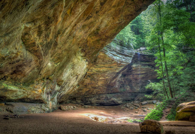 Обои картинки фото природа, лес, простор