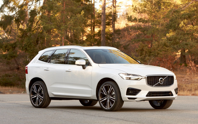 Обои картинки фото автомобили, volvo, дорога, лес, белый, xc60, вольво
