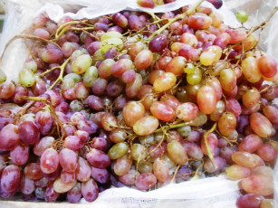 Картинка еда виноград