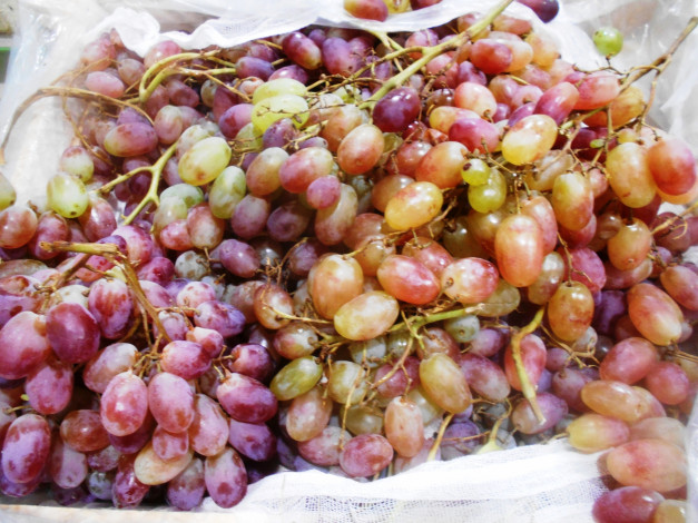 Обои картинки фото еда, виноград