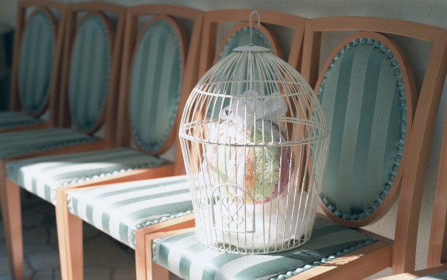 Обои картинки фото разное, предметы быта, стулья, клетка, букет