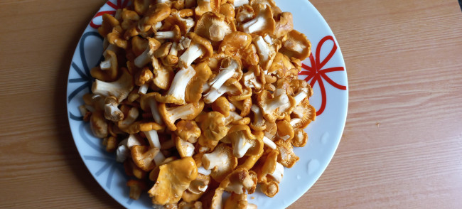 Обои картинки фото еда, грибы,  грибные блюда, лисички