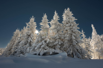 Картинка природа зима пейзаж