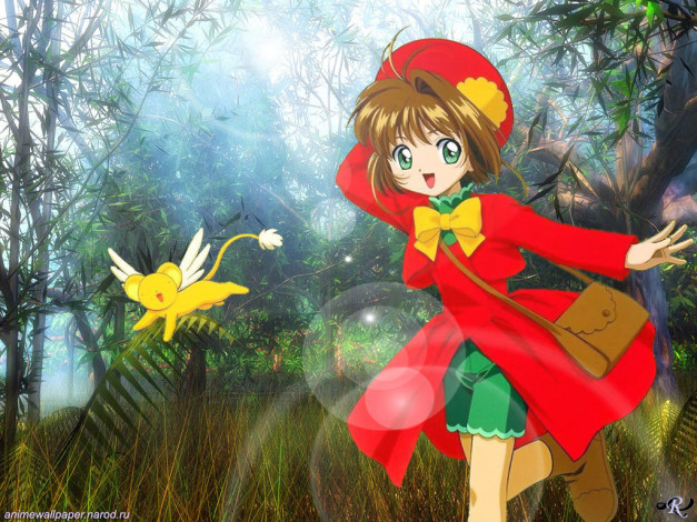 Обои картинки фото ccs, 003, аниме, card, captor, sakura