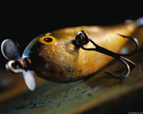 Картинка спорт другое