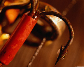 Картинка спорт другое