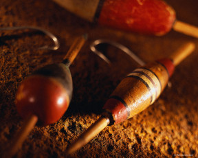 Картинка спорт другое