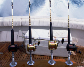 Картинка спорт другое