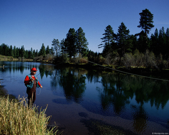 Обои картинки фото спорт, другое