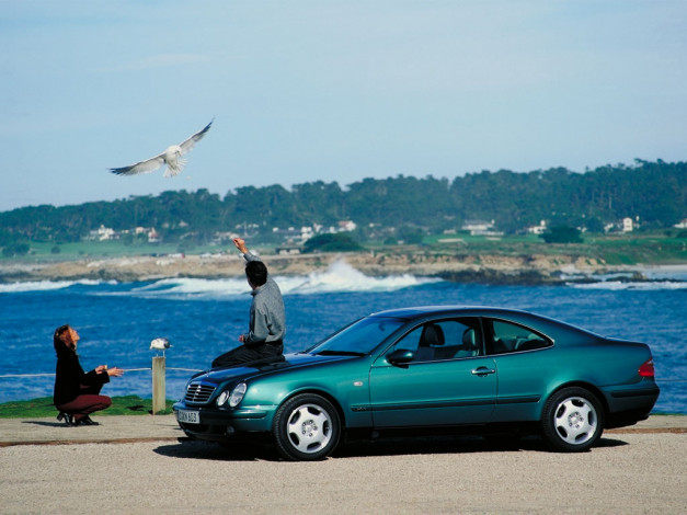 Обои картинки фото mercedes, benz, clk, class, автомобили