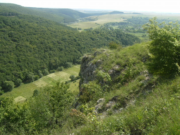 Обои картинки фото природа