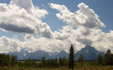 Картинка природа