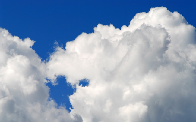 Обои картинки фото природа