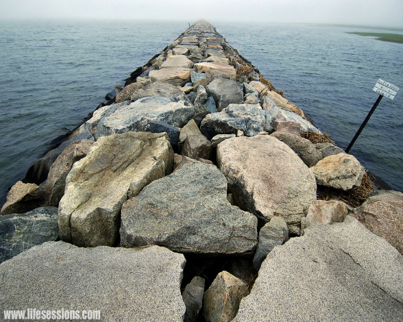 Обои картинки фото 